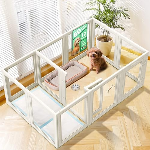 FXW AuraSpace Klarer Acryl-Auslauf für Innen, 60 cm, 12-teilig