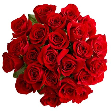 1800 Flowers – 24 Stem Red Roses (Bouquet Only) | Fresh Cut Spring Flowers for Delivery | Gift for Mother's Day, Anniversary, Sympathy, and Special Occasions