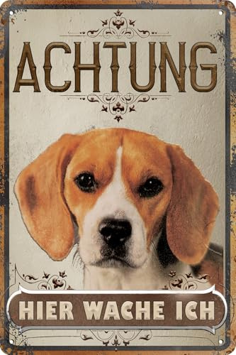 30 x 20 cm wetterfestes Blechschild, Warnhinweis, Torschild, Achtung, hier Wache ich! Warnung vor dem Hund (Beagle)