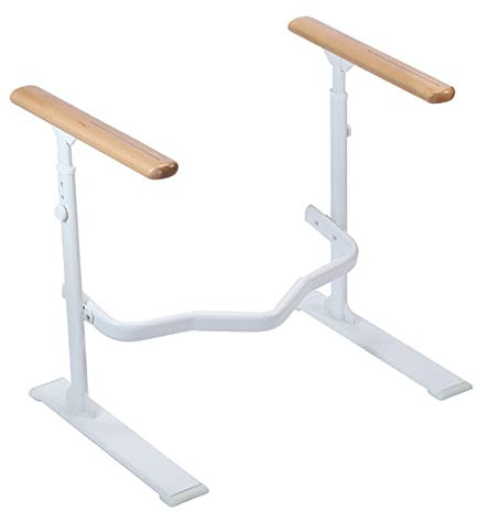 AIYING Supporto per WC Mobile Regolabile in Altezza, Supporto per WC per Anziani, Gravidanza, Portata Fino a 100 kg