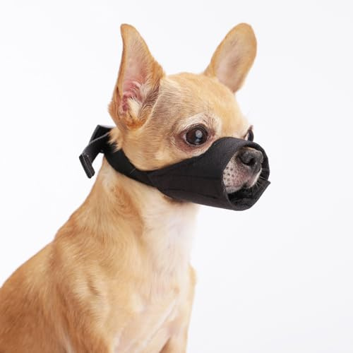 HYHIOTS Maulkorb Hunde für Kleine Mittlere Hunde, Giftköderschutz Verhindert Fressen Bellen für Chihuahua, Shih Tzu Bulldogge, Pitbull (Schwarz, S)