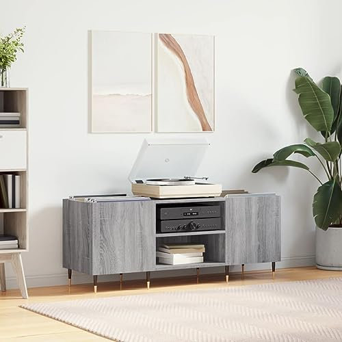 Iiaky Plattenschrank Grau Sonoma 121x38x48 cm Holzwerkstoff Schallplattenregal Plattenspieler Schrank Plattenschrank - 831674