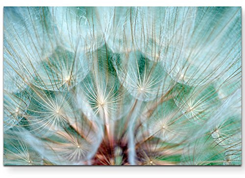Leinwandbilder | Bilder Leinwand 120x80cm Pusteblume – Nahaufnahme