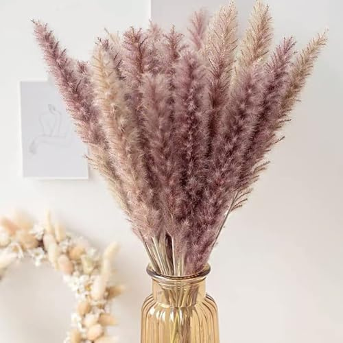 XFSRG 30 Pièces Herbe de La Pampa 60 cm Pampas Séchée Bouquet de Fleur Séchées Décoration Naturelle DIY pour Intérieur Chambre Salon Balcon Salle de Bain Table Mariage