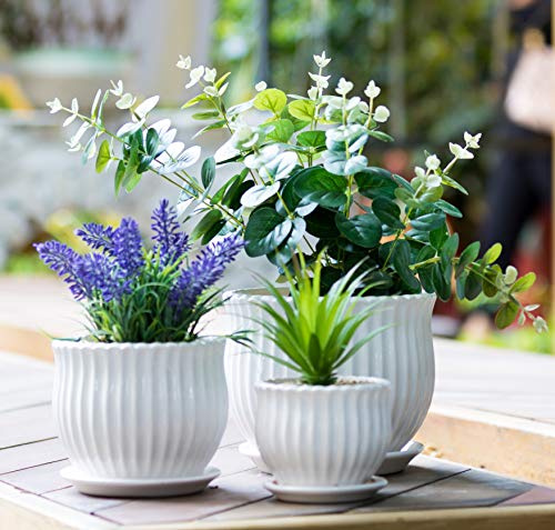 Nattol Keramiska blomkrukor med fat i krukor, moderna runda krukor för suckulenter i keramik med vit randig textur, små till medelstora storlekar, set med 3