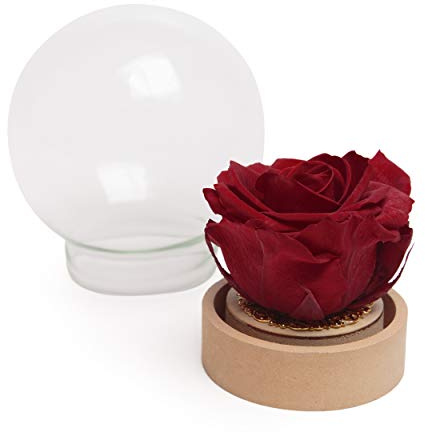 ROSEMARIE SCHULZ Heidelberg Infinity Rose im Glas echte haltbar langlebige Rose in Glaskugel (Large, Dunkelrot)