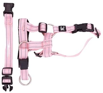 No Pull Dog Head Collar for Training – Reflective, Adjustable Halter for Walk Control – Humane Alternative to Harness or Choke Collar (Pink, M)