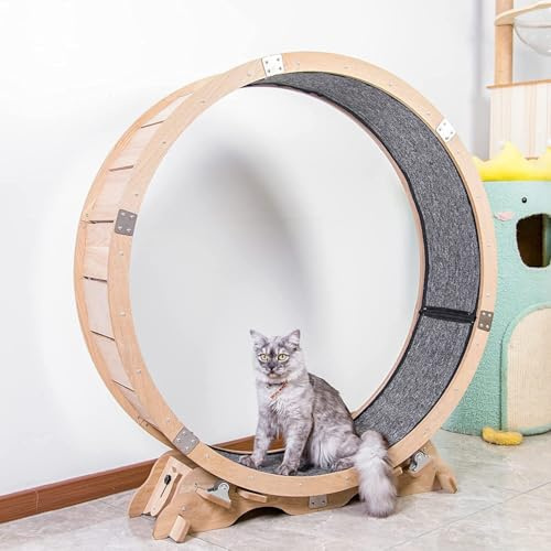 Rueda de ejercicio silenciosa de madera para gatos, caminadora redonda natural para fitness de mascotas en interiores (construcción de roble)