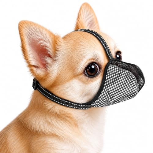 Buaak Muzzle for Medium Dogs, Soft Breathable Mesh, Adjustable Anti-Biting Chewing Licking, Mouth Guard for Beagle, Schnauzer, Shiba, for Grooming, Walking, Training, Vet Visits, Reflective Design (M)