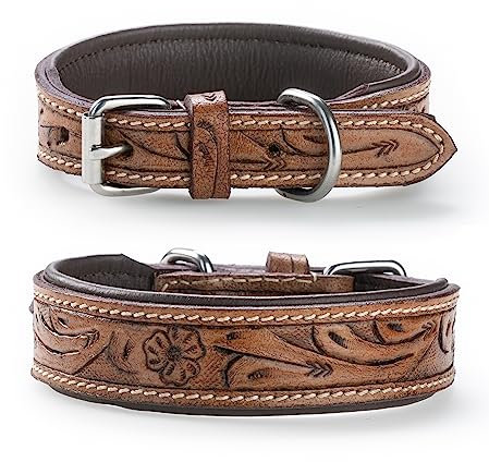 Jack & Russell Unikat Hundehalsband aus Leder, Hand-geschnitzt und gepolstert – Halsband aus Büffelleder, Hunde Leder Halsband Abey (L (40,0-49,5cm)