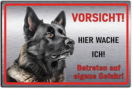 Schild Hund, Hundeschild, Warnung, Hier wache ich - Betreten auf eigene Gefahr! Achtung - Warnschild Edelstahl Optik - Warnung vor dem Hund - Deutsche Schäferhund M5 (Aluverbund Silber, 22,5x15 cm)