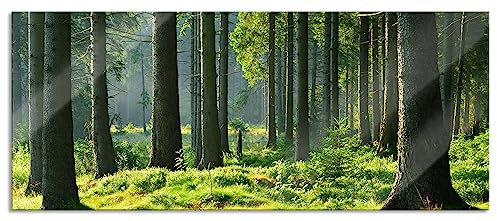 Pixxprint Glasbild Panorama, Wandbild aus Echtglas, sonniger Tag im Wald, 120x50 cm, inkl. Aufhängung und Abstandshalter