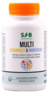 Multivitamines et Minéraux - Calcium, Magnésium, Vitamine B1, B2, B3, B5, B6, B8, B9, B12, Vitamine C, Vitamine E, Zinc, Cuivre, Sélénium - 120 Gélules - SFB Laboratoires
