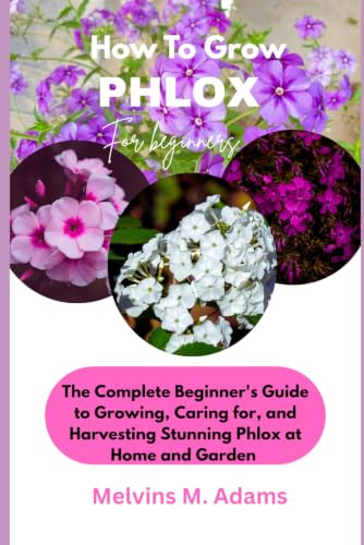 How to Grow Phlox Flower for Beginners: The Ultimate Beginner’s Guide to Growing, Caring for, and Harvesting Stunning Phlox at Home and garden