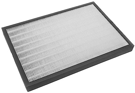 Trade-Shop Filter Kit (HEPA Filter + Activated Carbon Filter) Compatible with DeLonghi AC 230 Air Purifier, Replacement for DeLonghi 5513710021, Comedes PT94081
