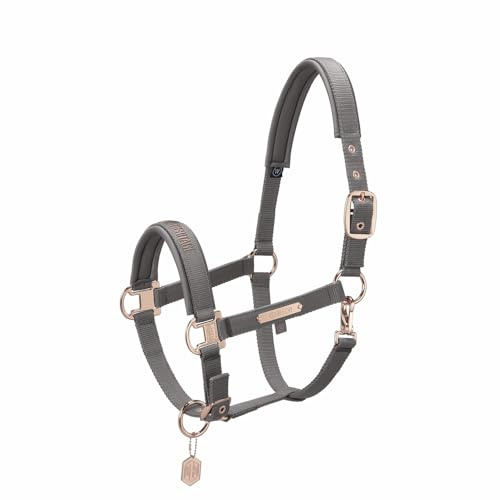 Halfter PIN BUCKLE Heritage 23/24