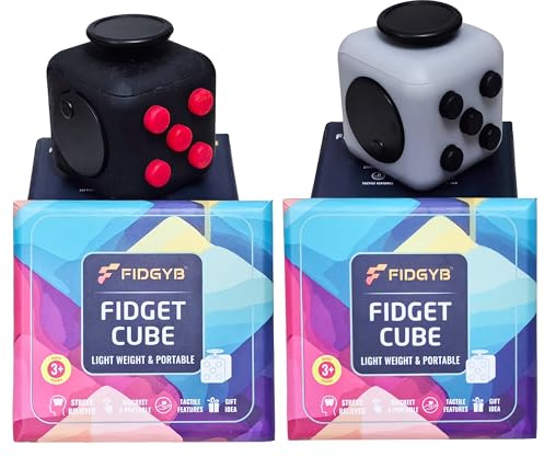 FIDGYB 2PCS Cube Fidget Stress Relief Toy for Adults & Kids, Smooth, Quiet Sensory Toy for Anxiety, Focus & ADHD Idea[BR+LGB][2PCS]