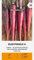 Zalia stotele | Karotten - RUBYPRINCE H samen| Gemüsesamen | Pflanze samen | Eine frühe, ertragreiche und krankheitsresistente Hybride | Karottensamen | Gardensamen | 1 Pack