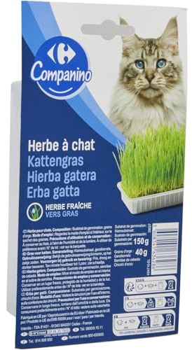 Carrefour – Herbe à Chats Fraîche et Naturelle pour Le Bien-être Félin, Boîte Pratique 150g - Lot de 4 - Vendu par Lot