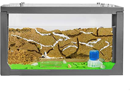 AntHouse - Fourmilière Naturelle en Sable | Kit Commencement 3D 20x10x10 cm Gris | Fourmis Incluses