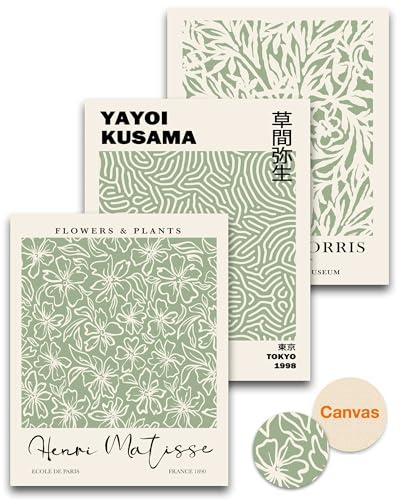 HesenDot Unframed Matisse Sage Green Wall Art Poster,Plants Botanical Canvas Wall Decor,30x40CM Poster Prints,Minimalist Classic Home Decor for Living Room Bedroom Bathroom Office,Set of 3