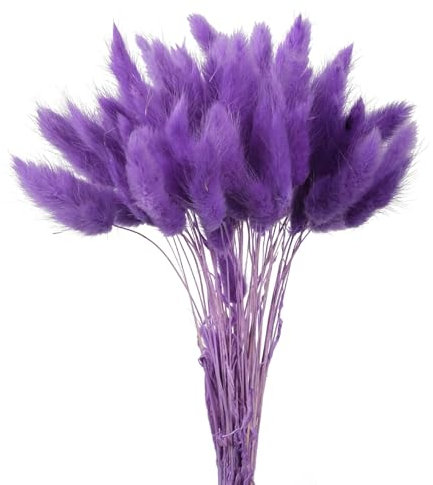 Getrocknete Blumen,50 Stück 45 cm natürliches Kaninchenschwanzgras, Bunte getrocknete Blumensträuße, Hasenschwänze, Foto-Requisite, Heim- und Hochzeitsdekoration, tiefviolett
