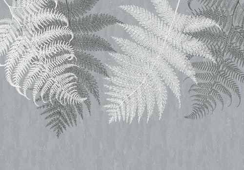 Papier Peint intissé Panoramique Feuillage Tapisserie Murale 3D Moderne Minimaliste Noir Et Blanc Tropical Plantes Feuilles Murale 350cmx245cm Salon Chambre Adulte Enfant Zen Poster Geant Mural