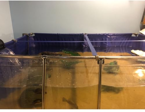 Wassertank aus PVC-Canvas für Aquarienteich – Klare Sichtscheibe und Ablassventil, ideal für Koi, Goldfische und Schildkröten (120 x 80 x 61 cm) – Robuster Rahmen für Fischbecken