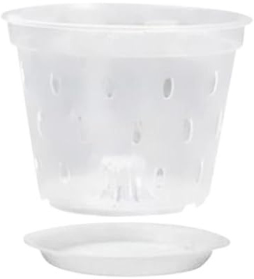 NeaxgeandX Vaso per orchidee scanalate, trasparente, per rinvasare piante da fiori da 12,7 cm con piattino, 12,7 cm