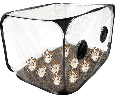 Tienda de cultivo de hongos, caja de aire plegable para setas, 90 x 60 x 60 cm, contenedor de cultivo de hongos, portátil con 2 puertos de brazo, resistente al agua, para cultivo de hongos, caja de