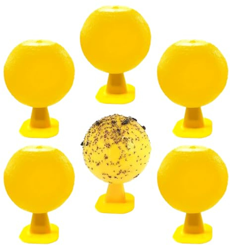 6pcs Fruchtfliegenfallenbälle Klebrige Hängende Köderbälle Fruchtfliegenfallen Geeignet Fruchtfliegen Ameisen Mücken und Spinnen Küchen Balkone Obstgärten Blumentöpfe und Terrassen (Gelb)