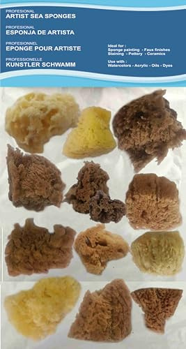 Paquete económico de 12 esponjas naturales para pintura de artistas, para arte y manualidades, pintura, pasatiempos, efectos, cerámica, cerámica, decoración, esponja, bellas artes, textura fina a
