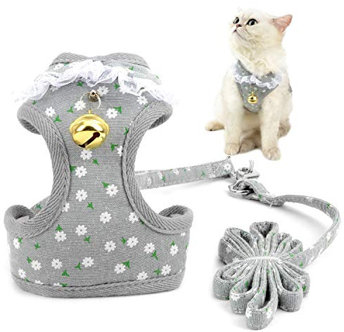 ZUNEA Hundegeschirr und Leine Set für Kleine Hunde Kein Ziehen Verstellbar Mesh Gepolstert Welpen Chihuahua Weste Geschirre mit Glöckchen Erdbeere Bedruckt Katzengeschirr Ausbruchsicher Grau S