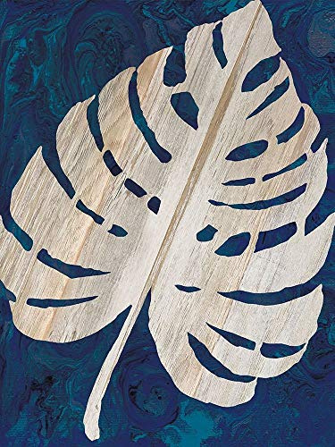 ArtExpert Monstera Navy by Cindy Jacobs - 18x24 Art Print Poster