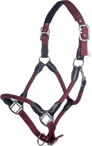 HKM Carlotta Halfter, Bordeaux, Vollblut