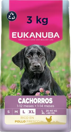Eukanuba Welpenfutter mit frischem Huhn für große Rassen, Premium Trockenfutter für Junior Hunde, 3 kg