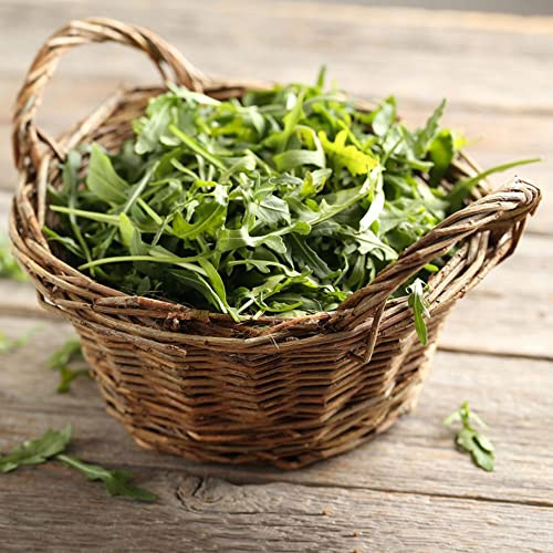rucolasamen - exotische zimmerpflanzen balkongewächshäuser pflanzensamen gemüsesaat balkongarten heilkräuter gartenpflanzen stauden winterhart mehrjährig outdoor kräutergarten 250pcs