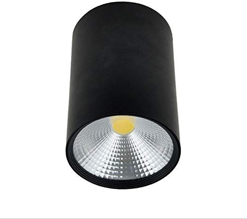 GHBSDNEPP Faretto Da Incasso Display Downlight Display Contatore Di Vino Surface Montata Luce Cilindrica 1 5W Led Downlight Black Surface Finish Lampade a Soffitto Finitura Bianca Luce Calda 6000K Spo