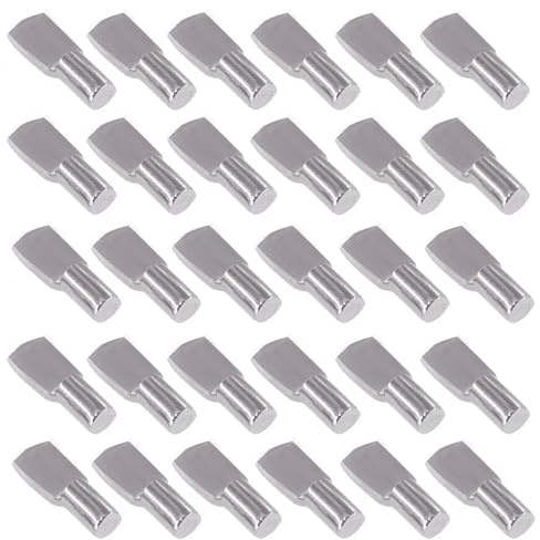 Frdelma Taquet Etagere Regalboden Träger Stifte,30pcs Regalstifte-Set 5 X20 mm Bodenträger Vernickelte Regalstifte für Kleiderschrank, Schrank, Garderobe, Regal