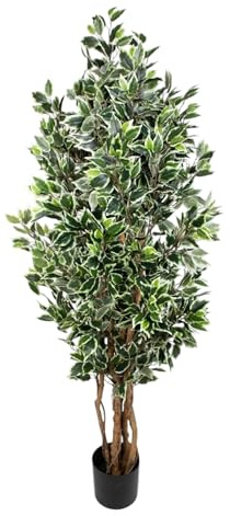 Ficus Nitida 180cm Grün Weiß LA Kunstbaum, Dekobaum Kunstpflanzen künstlicher Baum Pflanzen Kunstficus, Home Deko künstliche Pflanze, Deco Dekoration für Wohnzimmer Büro Badezimmer Schlafzimmer