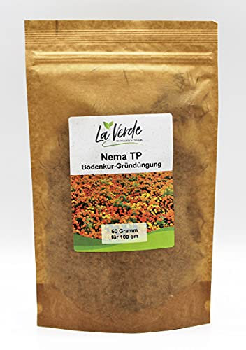 La Verde MEIN GARTEN UND ICH. Nema TP Tagetes Samen 60g für 100m², Bodenkur und Gründüngung, gegen Nematoden, Saatgut ohne Gentechnik