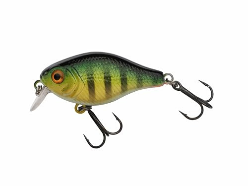 Berkley Pulse Fry Shallow Crankbait | Ultraleichter Hartköder für Barsche, Forellen, Döbel und Äschen | Realistisches Design und Enge Wobbelbewegung für Raubfischangler | Mehrere Farben