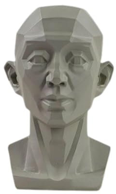 Planares Kopfmodell for Künstler, Zeichenpuppe, Planares Kopfmodell for Künstler, Planares Kopfmodell for Künstler Lernen Sie die Ebenen des Gesichts kennen/281
