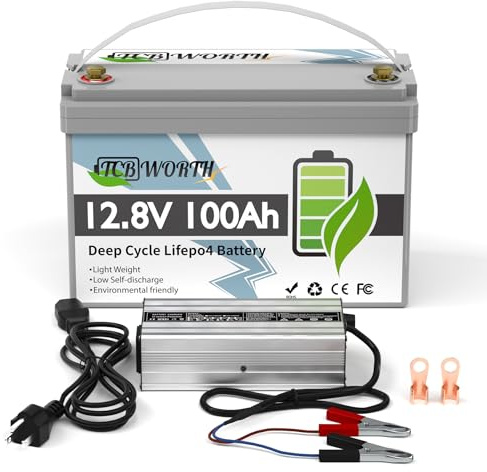 TCBWORTH Bateria Litio 12V 100Ah Batería LiFePO4 Ciclo Profundo con Cargador de 20A, Protección contra Bajas Temperaturas, para Autocaravana, Sistema Placa Solar, Barco, Hogar, Kit Solar, Camping