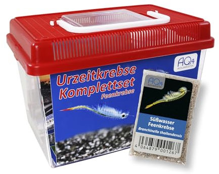 AQ4Aquaristik Feenkrebse Starterset mit Urzeitkrebs Eiern: 2,5 l Aquarium, Zubehör, Zuchtansatz, Futter und Anleitung, Branchinella thailandensis