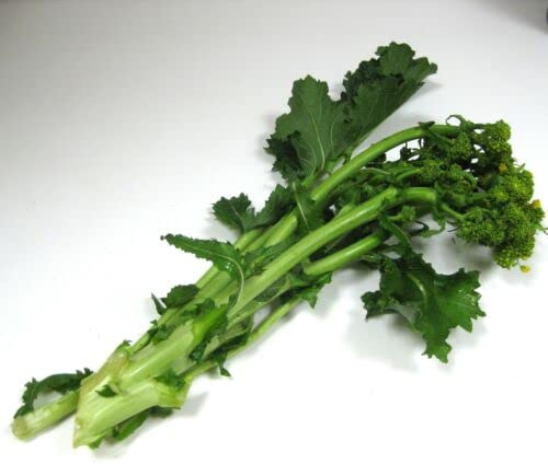 150 Grains of CIMA DI RAPA (Brassica Rapa Rapa) RAPINI H806 Broccoli RAAB Seeds : Package Contains Seeds