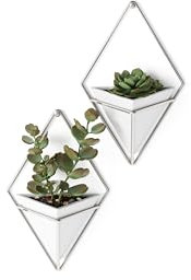 Umbra Trigg Wandvase & Geometrische Deko - Übertopf Für Zimmerpflanzen, Sukkulenten, Luftpflanzen, Kakteen, Kunstpflanzen und Mehr, Weiss/Nickel, 2er-Set, Klein