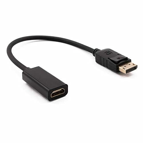 Nilox Adaptador DP-HDMI M/H
