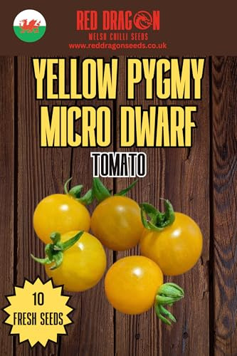 Yellow Pygmy Micro Dwarf Tomato Seeds - 10 Fresh Seeds