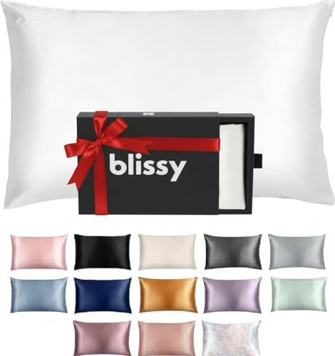 Blissy Silk Pillowcase - 100% Pure Mulberry Silk - 22 Momme 6A High-Grade Fibers - Silk Pillow Cover for Hair & Skin - Regular, Queen & King with Hidden Zipper (Queen, White)